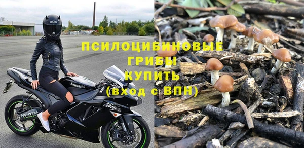 ГАЛЛЮЦИНОГЕННЫЕ ГРИБЫ Алзамай