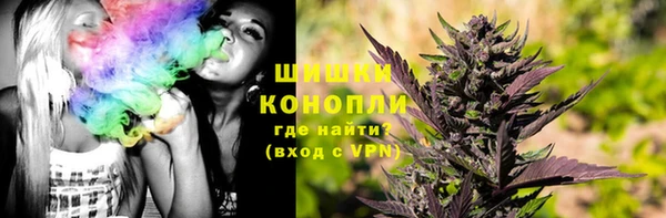 ГАЛЛЮЦИНОГЕННЫЕ ГРИБЫ Алзамай